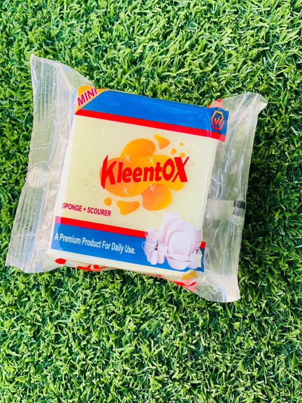 Kleentox No Scratch Scrub Sponge